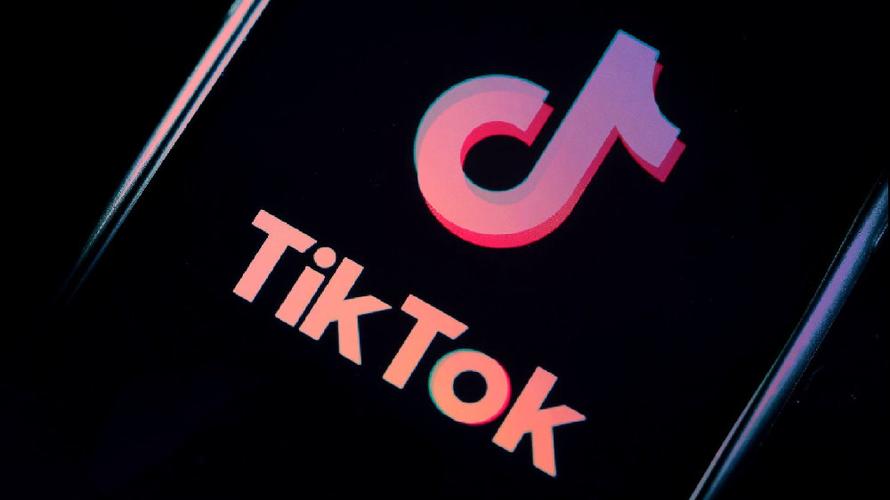 TikTok Chefs Battle It Out 